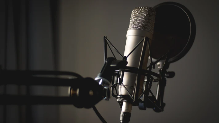 Factors to Consider When Choosing the Best Microphone Rental Services